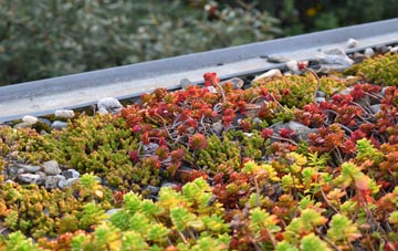 the cost of Llwyndafydd green roof installation