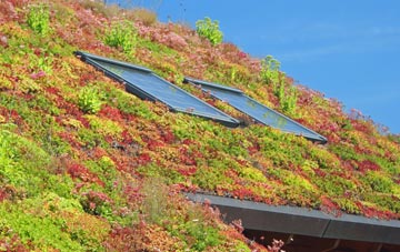 Llwyndafydd living roof systems