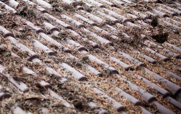 Llwyndafydd roof cleaning companies